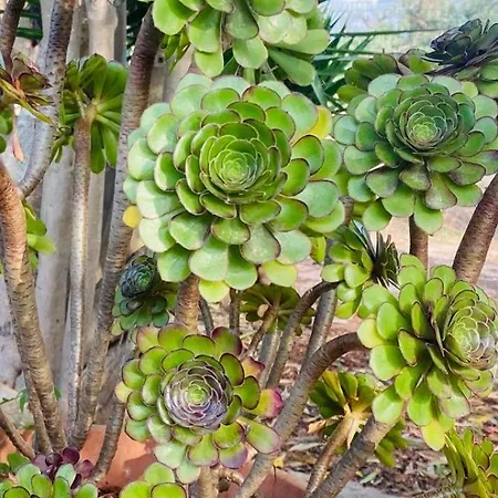 Ferienhaus Casa Di Francesco Mesagne