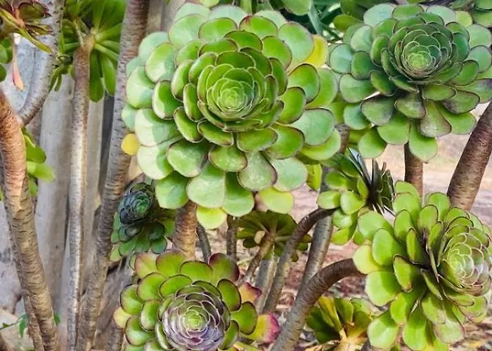 Feriehus Casa Di Francesco Mesagne